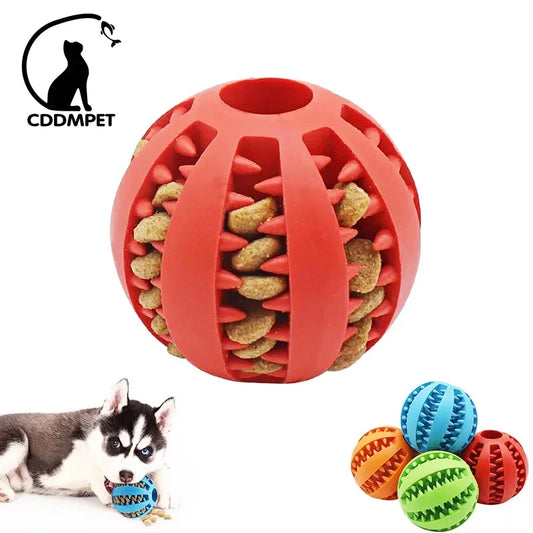 Dog Ball Toys for Small Dogs Interactive Elasticity Puppy Chew Toy Tooth Cleaning Rubber Food Ball Toy Pet Stuff Accessories - naiveniche